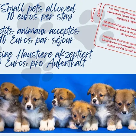 L'echappee Douce - Central, Paisible Et Lumineux * Mulhouse